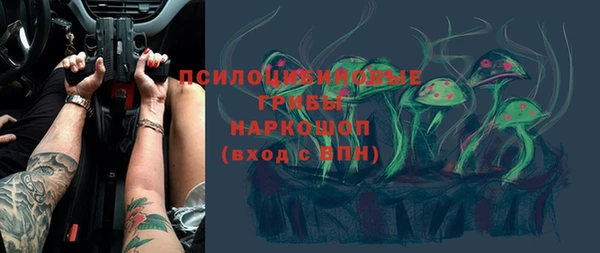 spice Новозыбков