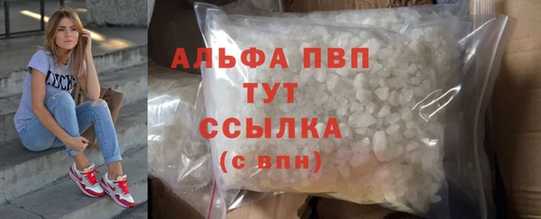 spice Новозыбков