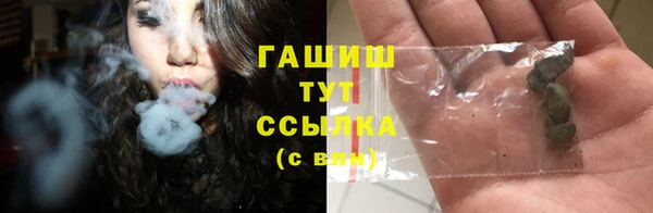 spice Новозыбков