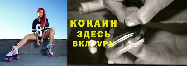 таблы Новодвинск