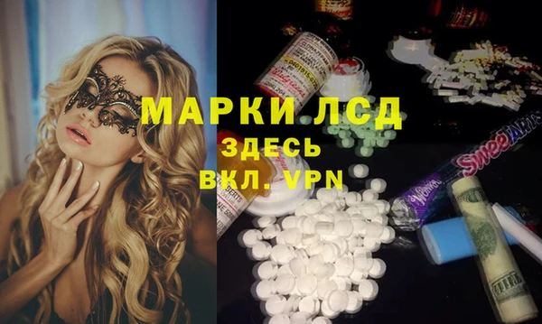 spice Новозыбков