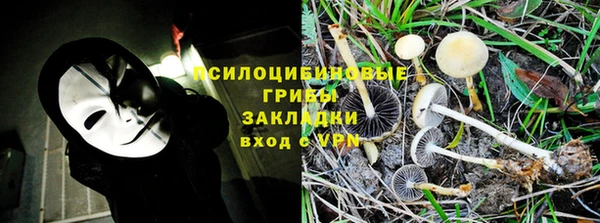 spice Новозыбков