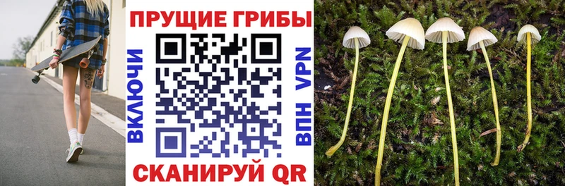 Галлюциногенные грибы GOLDEN TEACHER  Черемхово 