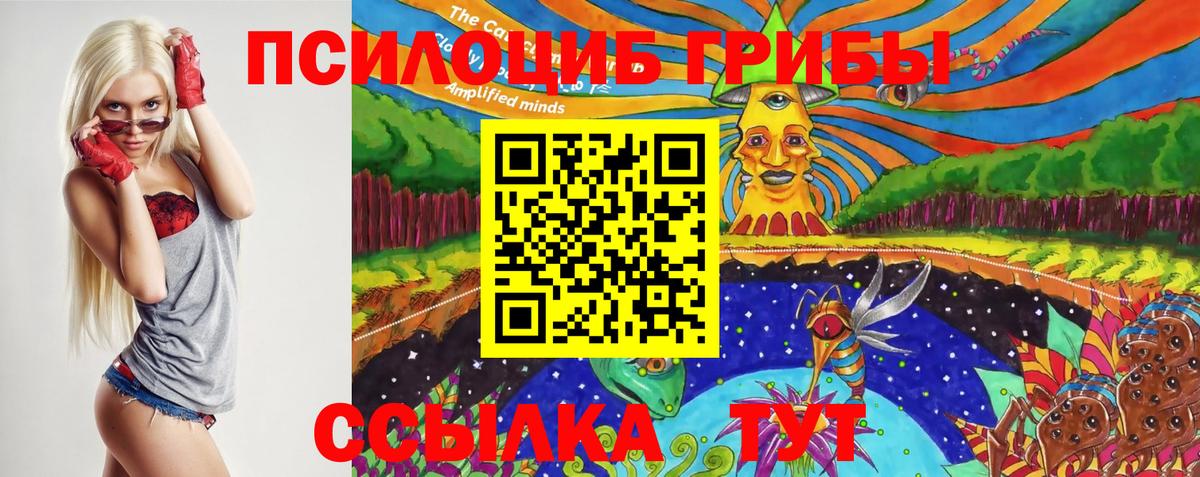 Псилоцибиновые грибы GOLDEN TEACHER Черемхово
